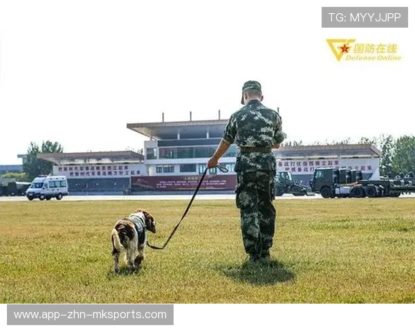 哈兰德和狗一起训练画面萌炸，运动场变成童话乐园
